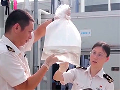 广州海关查获多起珍稀动物及动物皮毛走私案