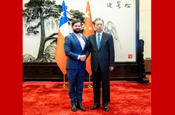 赵乐际会见智利总统