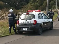 日本野熊袭人事件频发 受伤人数创新高