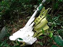巴西一架小型飞机坠毁 12人死亡