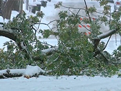 美国密歇根州马斯基根遭遇大雪