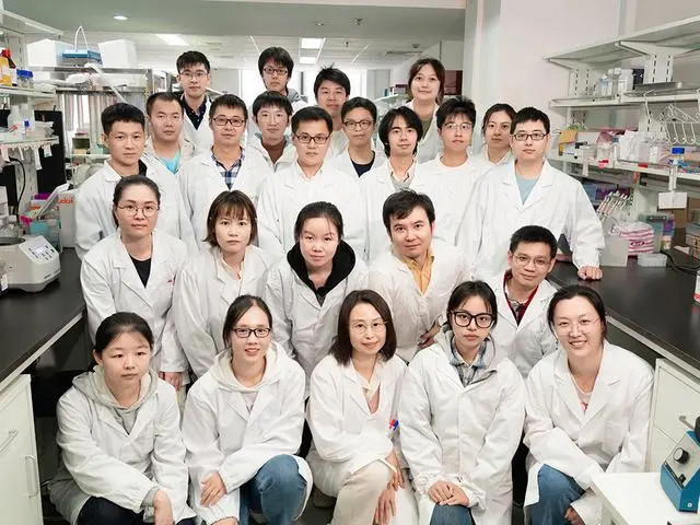 我国科学家首次构建胚胎干细胞嵌合体猴