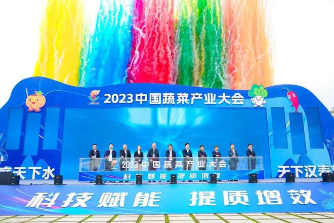 我国首次发布蔬菜产业地图