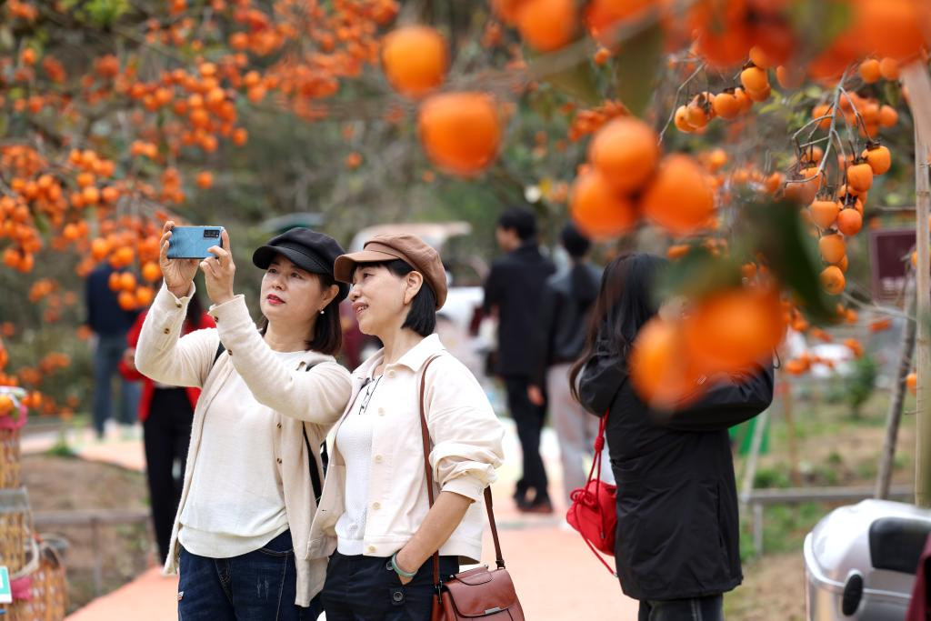《国内旅游提升计划（2023—2025年）》发布