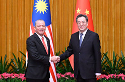 丁薛祥会见马来西亚副总理
