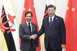 习近平会见文莱苏丹