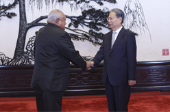 赵乐际会见萨摩亚议会议长
