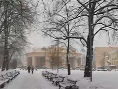 俄罗斯 莫斯科遭遇强降雪天气
