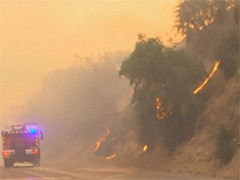 智利多地森林火灾肆虐 至少7人受伤