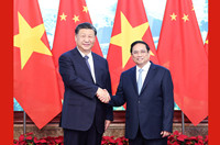 习近平会见越南总理