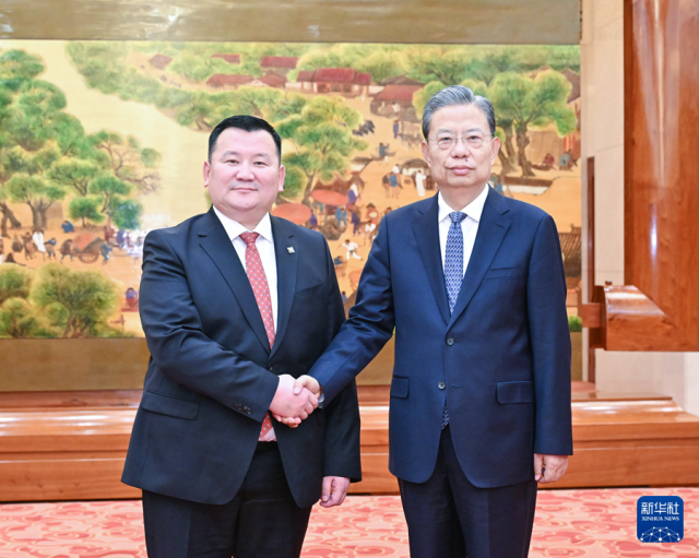 赵乐际会见蒙古国家大呼拉尔副主席