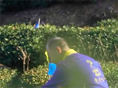 全国首个寒潮指数衍生品在湖北签约