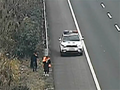 为拿玩具 糊涂老爸将一家老小滞留高速公路