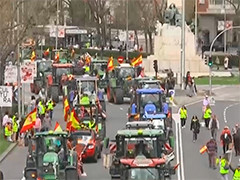 西班牙农民继续在马德里举行游行示威