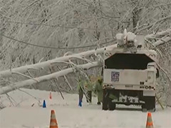 美国东北地区风暴持续 超10万用户停电