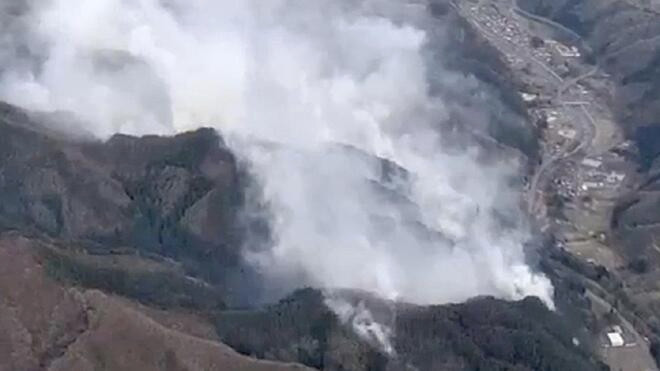 日本岩手县发生林火 暂无人员伤亡报告