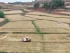 【在希望的田野上】西南麦收展开 各地抓好“三夏”生产