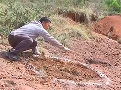 云南禄丰发现距今约1.2亿年恐龙足迹化石群