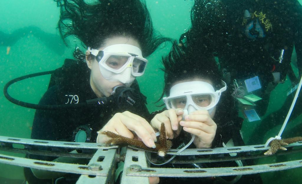 我国海洋生态状况总体稳定