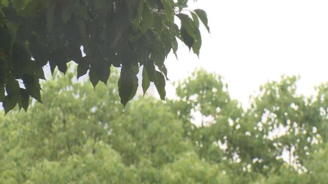 上海入梅首日迎“暴力梅”今年首个暴雨蓝色预警发布
