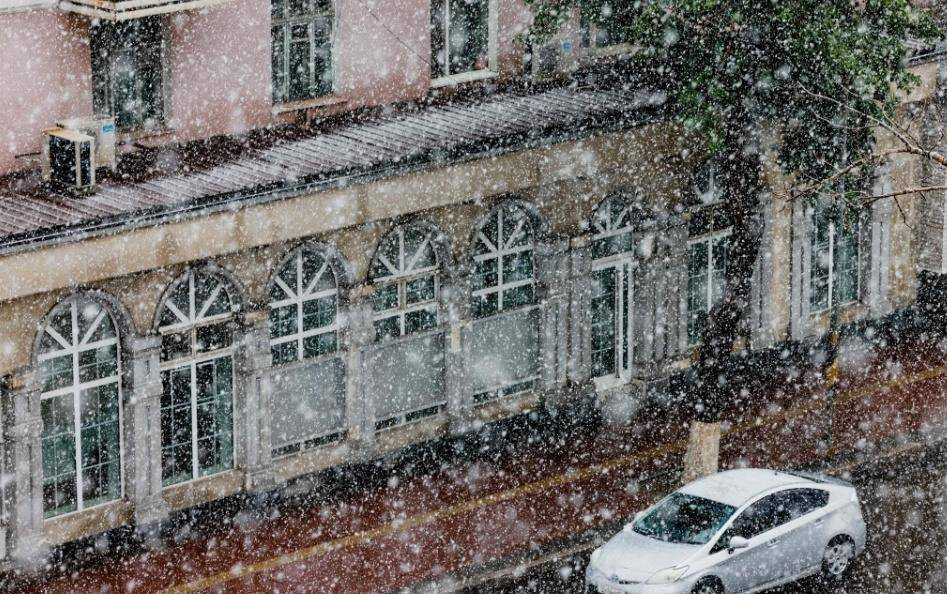 蒙古国夏至罕见降雪