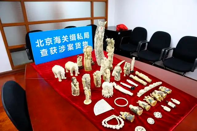 北京海关缉私局查获42.8千克象牙走私大案