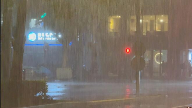 上海暴雨雷电大风三预警齐发 防汛防台Ⅳ级响应启动