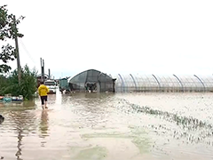 持续暴雨致韩国上千公顷农田被淹