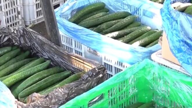 异常天气致菜价持续走高 本周已显现回落势头