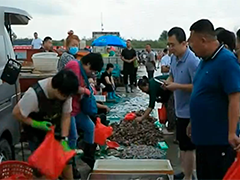山东烟台“开海第一网”海鲜上岸 市民争相尝鲜