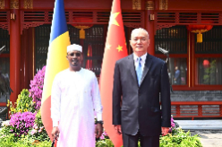 蔡奇会见乍得总统