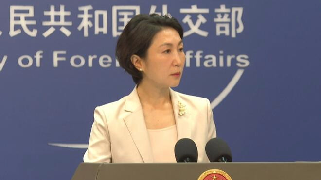 中国外交部 期待同非洲国家一道落实全球安全倡议