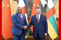 习近平会见中非总统