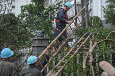 中央组织部从代中央管理党费中划拨5355万元用于支持海南、广东等地抢险救灾工作