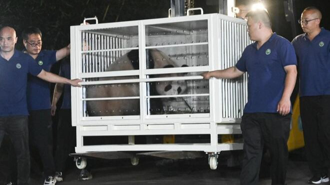 中央政府赠港大熊猫抵达香港 香港特区政府在机场举行欢迎仪式