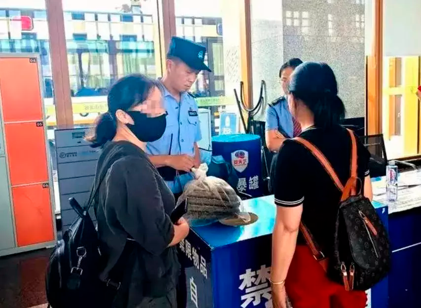 湖南龙山女子欲携马蜂窝乘高铁 铁警发现及时制止