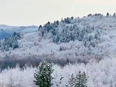 漠河降下今秋以来首场降雪