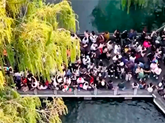 山东济南趵突泉景区吸引大批游客 避免过度投喂鱼食 景区引导文明旅游