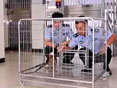 重庆 凤头鹰受伤 民警及时救助