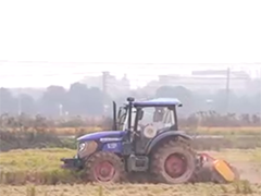 安徽肥西 稻谷飘香迎丰收 又是一年好“丰”景