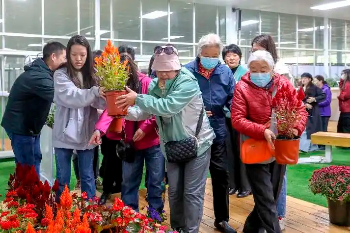 首都国庆花坛花卉撤出 回赠北京市民