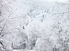 黑龙江 “中国雪乡”景区迎来入冬首场降雪