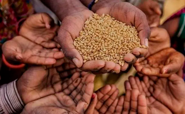 联合国报告 全球多地严重粮食不安全状况可能持续恶化