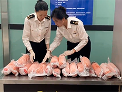 大连入境旅客携带54公斤火腿被查获 全部销毁