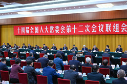 十四届全国人大常委会第十二次会议举行联组会议