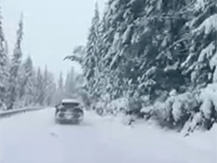 新疆阿勒泰出现暴雪天气 喀纳斯积雪已超半米