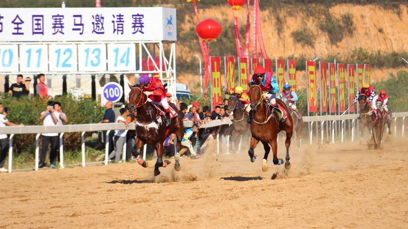 万人狂欢!“贵州村马”上演巅峰对决