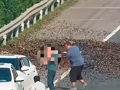 上海金山 钢屑撒落高速 多部门联动处置