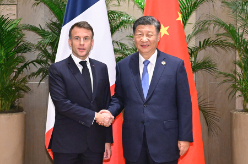 习近平会见法国总统