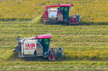 全国秋冬种近尾声 提单产措施有效推进